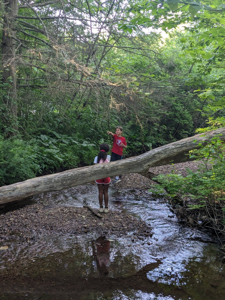 Mrs. Bennett tweet media