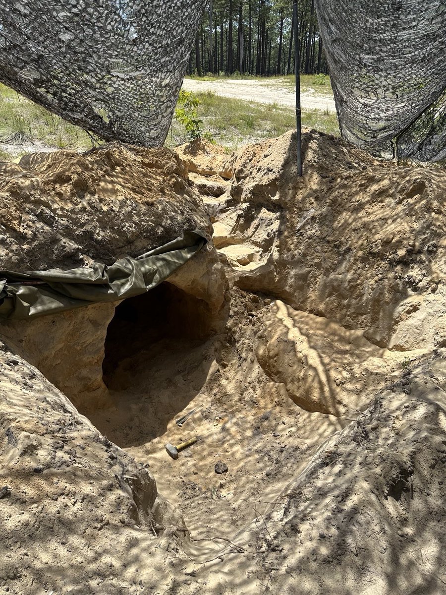 1_319AFAR's tweet photo. Train like you fight ⛏️ 💥 

Recently, Loyalty conducted a Fire Support Coordination Exercise with an added twist 🔥 

Firing 1000+ rounds in support of infantry training, Loyalty practiced digging in, moving massive amounts of ammo, and synchronizing drones with mortars 📍

ATW! https://t.co/fEzMhjxFV3