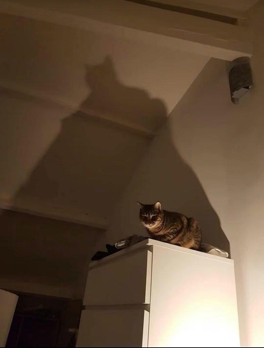 𝐘𝐮𝐥𝐨 ✧ tweet media