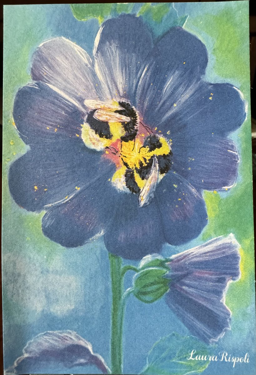 Opiefitz (Debbie)🇺🇸🌈 I Stand with 🇺🇦🌻 (@opiefitz) on Twitter photo Thank you so much to the always kind & thoughtful @Kwentzhunter for the beautiful <a href="/LauraRispoliArt/">Laura Rispoli 🎨</a> card. Always means so much! 🥰 Thank you so much to the always kind & thoughtful @Kwentzhunter for the beautiful <a href="/LauraRispoliArt/">Laura Rispoli 🎨</a> card. Always means so much! 🥰