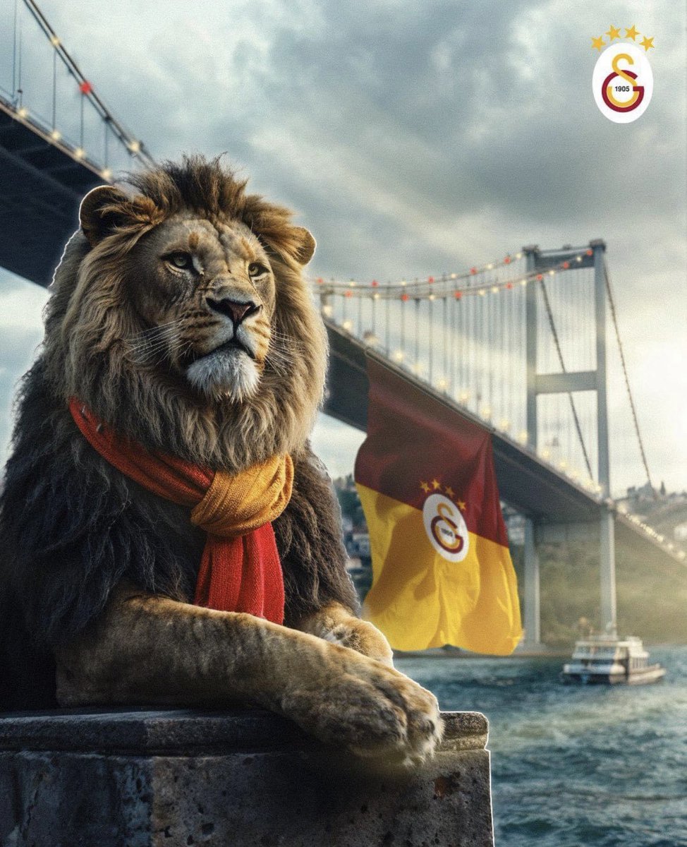 Le8ubZ's tweet photo. @Yldray37848160 @433GalatasarayI https://t.co/EgWLuua8ik