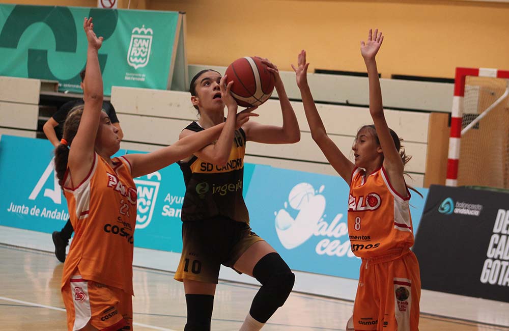Gaby Cumbreras (@gabycumbreras) on Twitter photo La <a href="/SDCANDRAY/">SD CANDRAY</a> peleará este domingo (11:30 h) ante La Salle de Córdoba por el 5º puesto del Campeonato de Andalucía de Minibasket (<a href="/FAB_Andaluza/">Federación Andaluza de Baloncesto</a>) en San Fernando. La final será colegio Virgen del Carmen de Córdoba-EDM Teatinos de Málaga (a las 12 h).
deportedelaisla.com/2024-06-08/bal… La <a href="/SDCANDRAY/">SD CANDRAY</a> peleará este domingo (11:30 h) ante La Salle de Córdoba por el 5º puesto del Campeonato de Andalucía de Minibasket (<a href="/FAB_Andaluza/">Federación Andaluza de Baloncesto</a>) en San Fernando. La final será colegio Virgen del Carmen de Córdoba-EDM Teatinos de Málaga (a las 12 h).
deportedelaisla.com/2024-06-08/bal…
