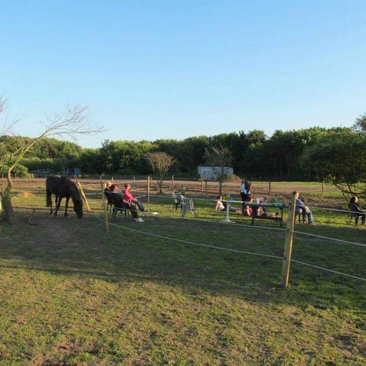 Shy Lowen Sanctuary (@shylowen) on Twitter photo Summer Solstice Guided Meditation will be held on Friday 21st June from 7.30pm until 9.30pm. Enjoy the peace and magnificence of the mid summer sunset in the presence of the wonderful Shy Lowen horses. Only £20 per person. Please message on here or email shylowen@aol.com to book Summer Solstice Guided Meditation will be held on Friday 21st June from 7.30pm until 9.30pm. Enjoy the peace and magnificence of the mid summer sunset in the presence of the wonderful Shy Lowen horses. Only £20 per person. Please message on here or email shylowen@aol.com to book