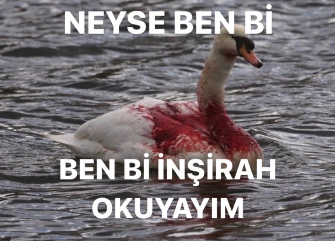 ANLIK (@anlikmod) on Twitter photo 