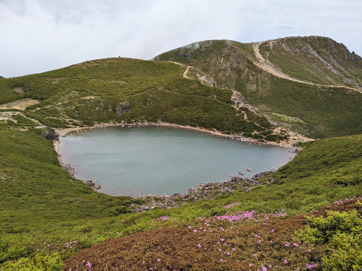 TAKO1032's tweet photo. せっかく九州に来たので、くじゅう連山にある1700mオーバーの山10座を巡るっていう #17SUMMIT なるものやってきました。
途中で地元の登山好きな3人組に「17やってるんですか?」と声をかけられた💦このルート有名なのかな?たまたま何かのブログか何かで見つけたんだけど。 https://t.co/mYjwm5YWPG