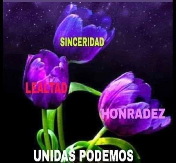 Basileia🙋♀️❤️💛💜🏳️🌈 tweet media