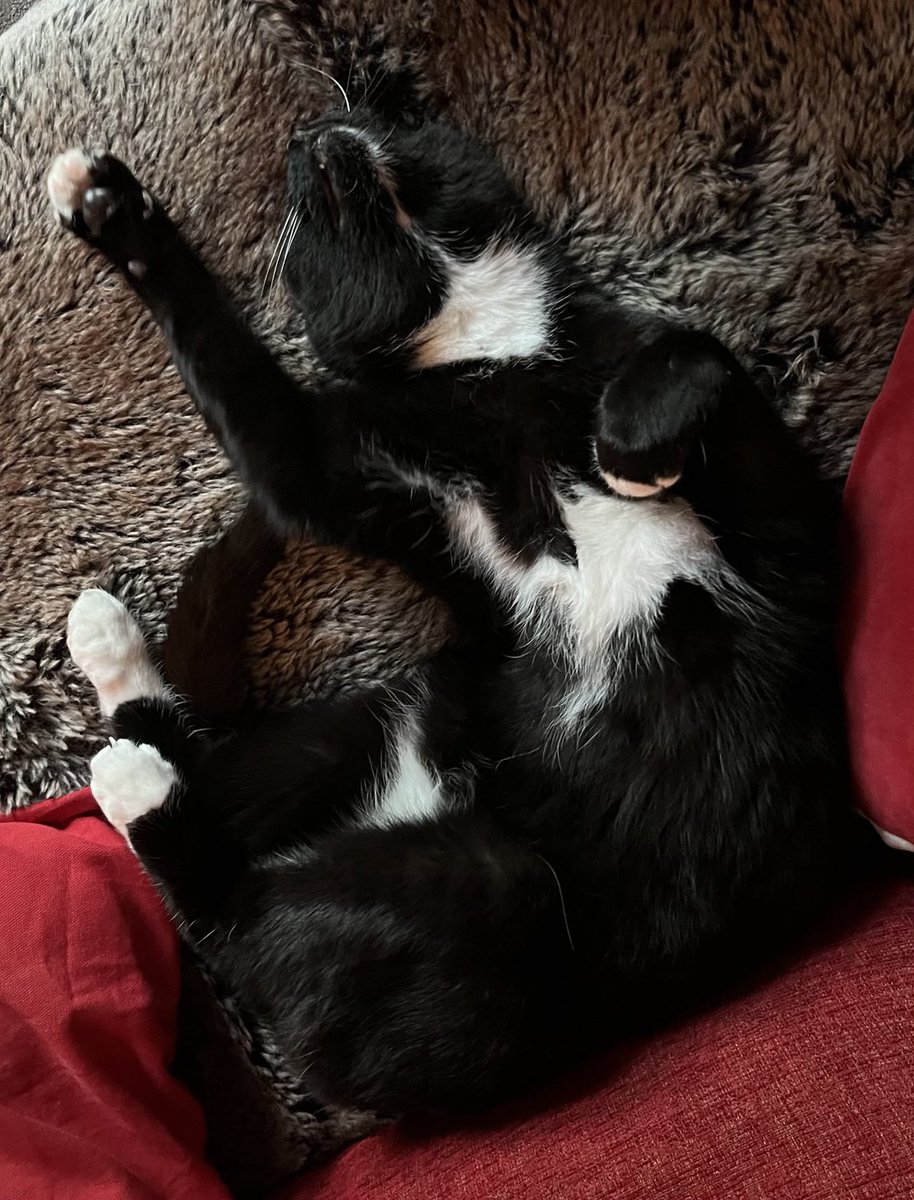 Evidently his new “come and get me” look…