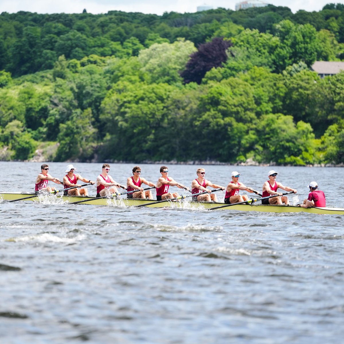 HarvardHeavies's tweet photo. 📸s from the first varsity eight's big win.

#GoCrimson #ExNemo https://t.co/nLNHqrkROZ