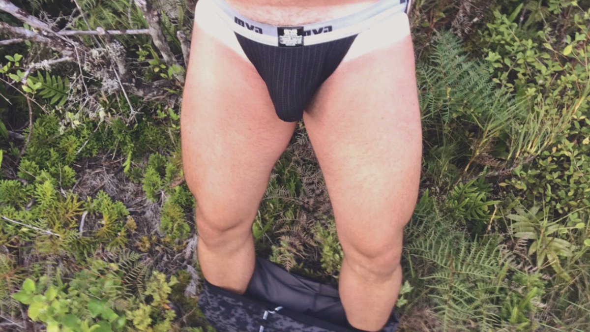 Nzguy2018 (@nzguy2018) on Twitter photo 