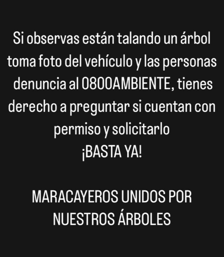 claudicit's tweet photo. #Maracay alerta, nos estamos quedando sin árboles en la ex - ciudad jardín de Venezuela, ¡denuncia! https://t.co/ehbUvKwLp2