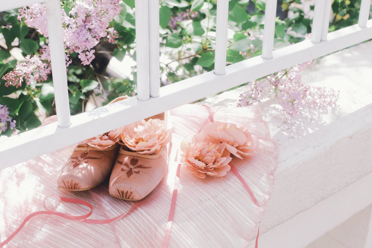 #カードキャプターさくら 

₊·*◟(⌯ˇ ▾ˇ⌯)◜‧*🌸