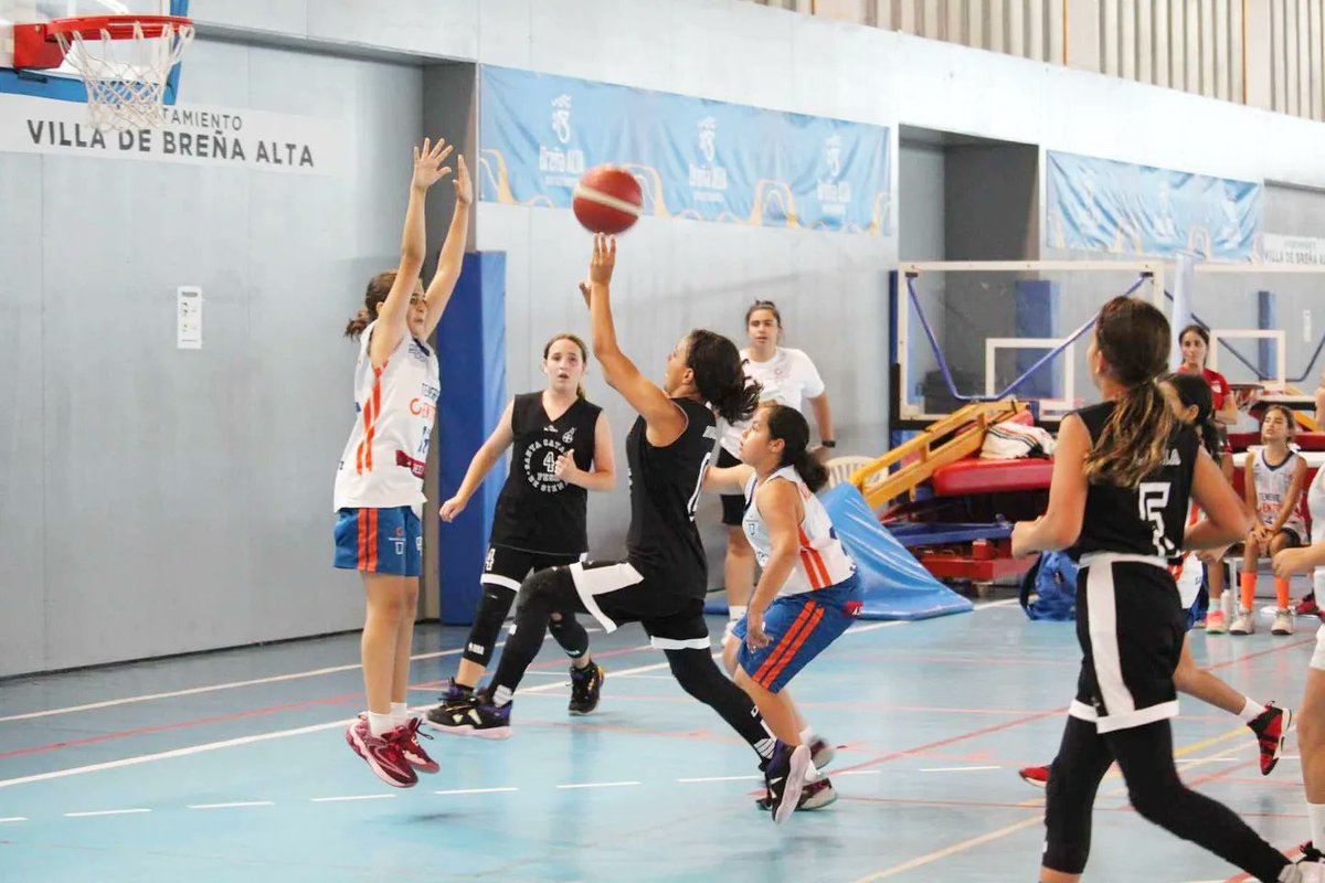 FCBaloncesto's tweet photo. ๐ #PreMinibasketFem
๐ฎ๐จ #CC2024
๐ #SantaCatalinaDeSiena
๐ @TenerifeCentral
#BaloncestoEnPositivo #Canarias100x100 #Canarias #Baloncesto #Basketball #Basket #Deporte #Sport #Photography #SportPhotography https://t.co/FBXujtNvAt