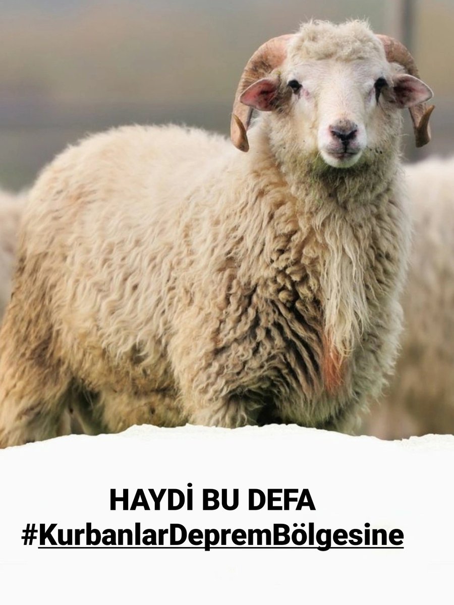 Hani 14 Şubat hediyesi deprem çocuklarımıza demiştik ya arkadaşlar 😊

Madem kurban bağışı yapacaksınız, niye deprem bölgesindeki insanlarımıza  gitmesin 🤷‍♀️😇 

HAYDİ BU DEFA 
KURBANLAR DEPREM ÇOCUKLARINA GİTSİN!!!
#KurbanlarDepremBölgesine‼️
