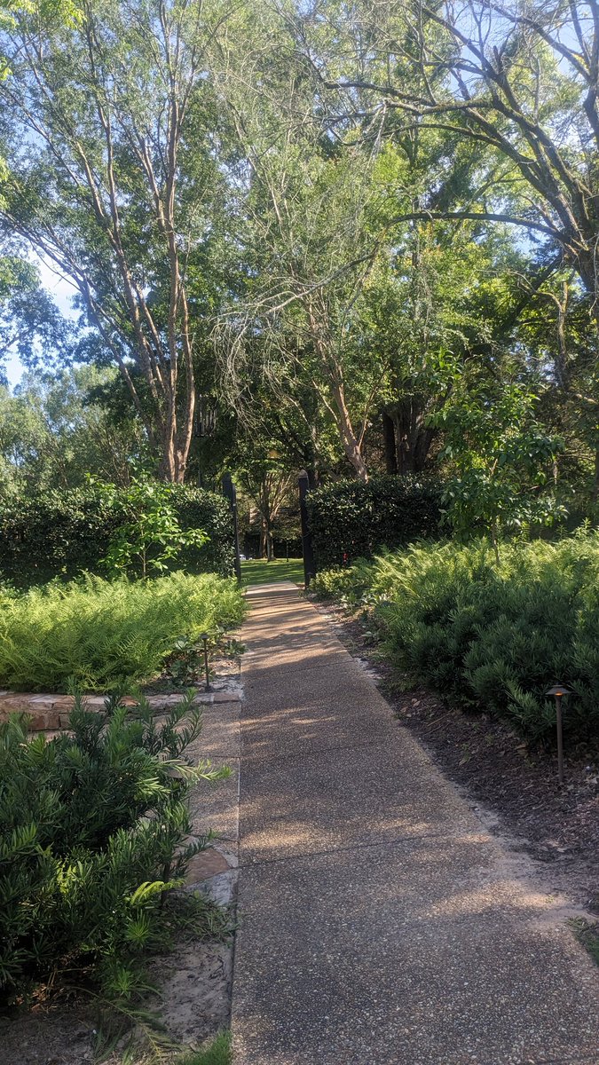 d_bead's tweet photo. Paradise in your own neighborhood. I always find ๐๐ฝ๐ heavenly treasures๐ง๐ฝโโ๏ธ, peaceful surroundings. Seek and ye shall find. ๐ #naturedays #beautiful https://t.co/IfVlkDqoFe