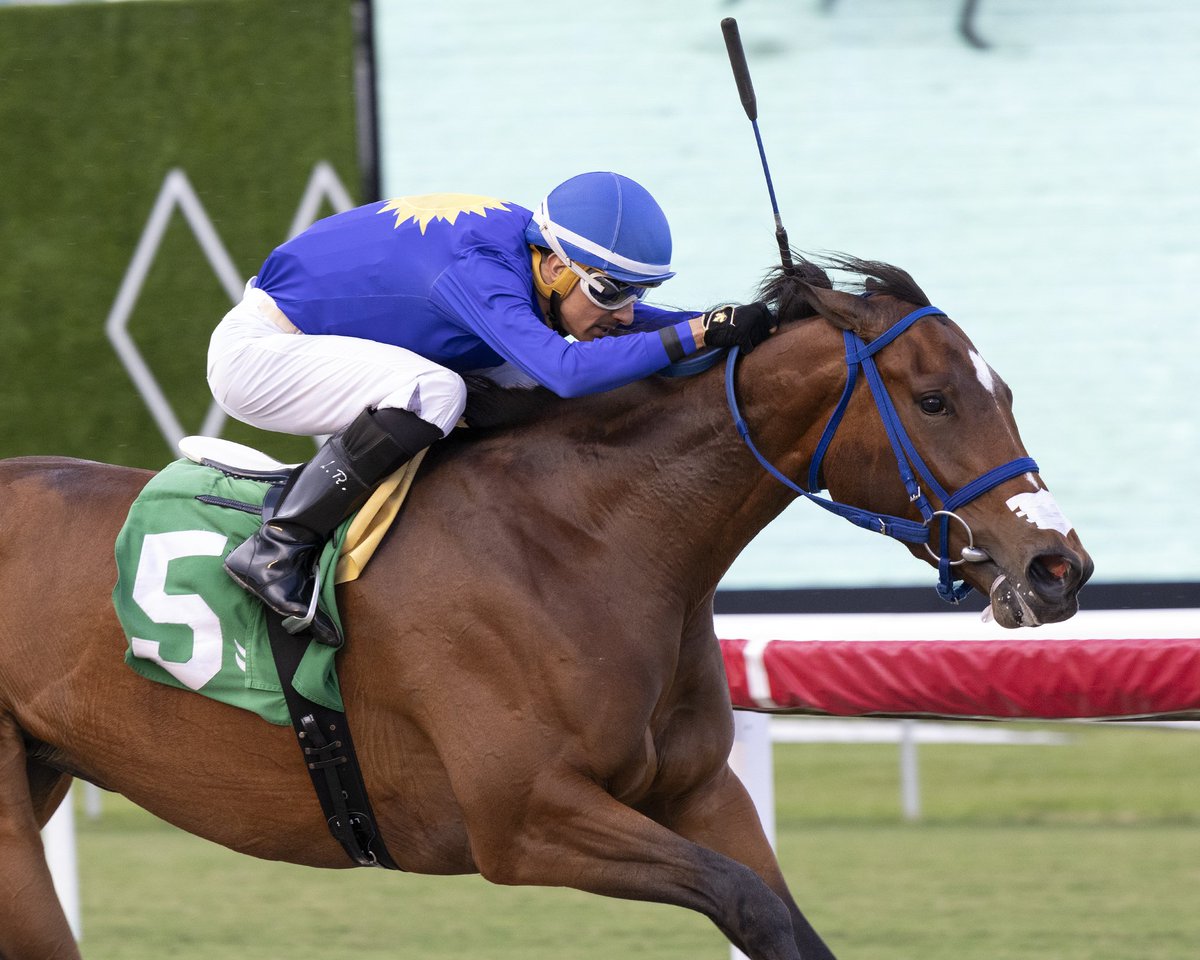 Gulfstream Park tweet media
