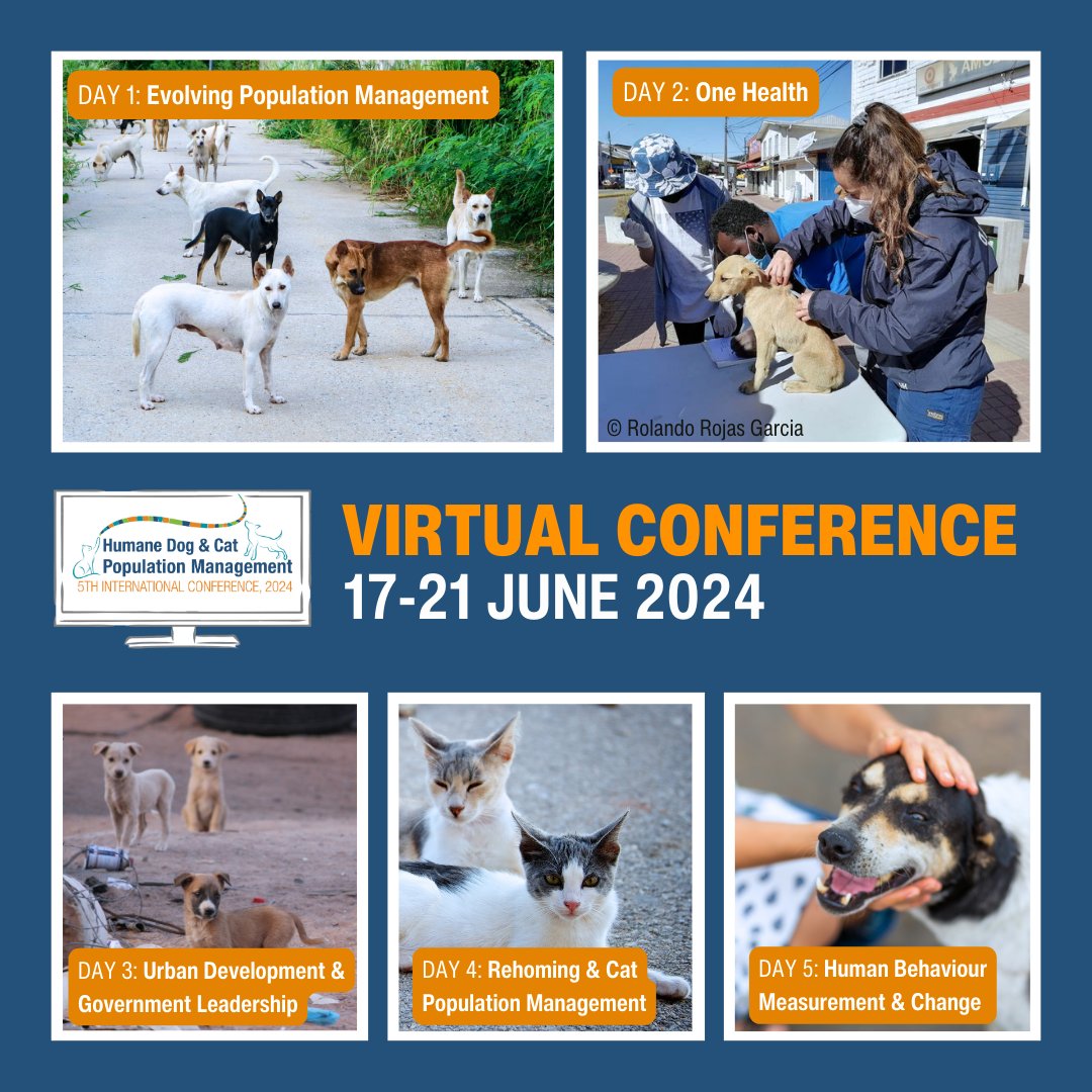 ICAMcoalition's tweet photo. Next week at #ICAM2024 you can dive into discussions on urban development and dog population management and learn about addressing rabies and improving animal welfare. Join us by registering here: https://t.co/1kINeo56Pu https://t.co/q3HJWone9Q