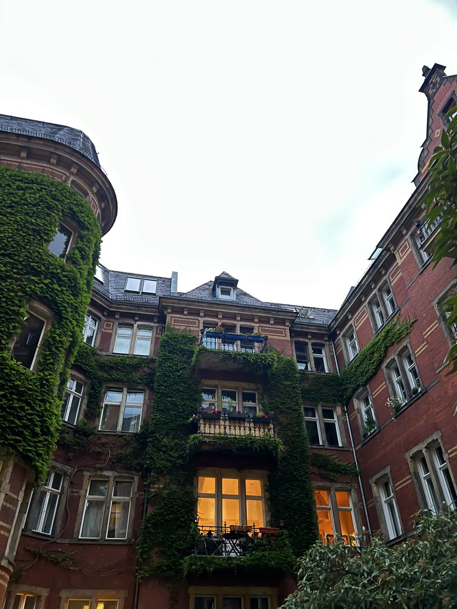 modelcitizen.ie tweet media