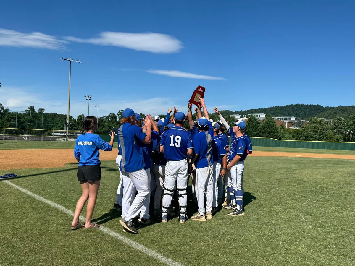 York High Baseball tweet media