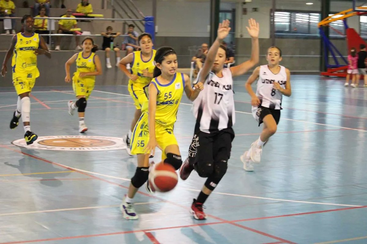 FCBaloncesto's tweet photo. ๐ #PreMinibasketFem
๐ฎ๐จ #CC2024
๐ @LKLaguna
๐ @cbislascanarias
#BaloncestoEnPositivo #Canarias100x100 #Canarias #Baloncesto #Basketball #Basket #Deporte #Sport #Photography #SportPhotography https://t.co/lHmNyJqRfB