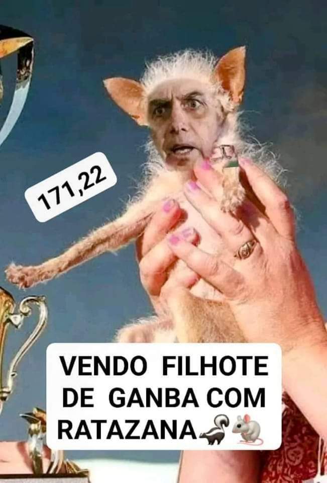 LiaDeSousa1's tweet image. Quem dá mais? 🤭