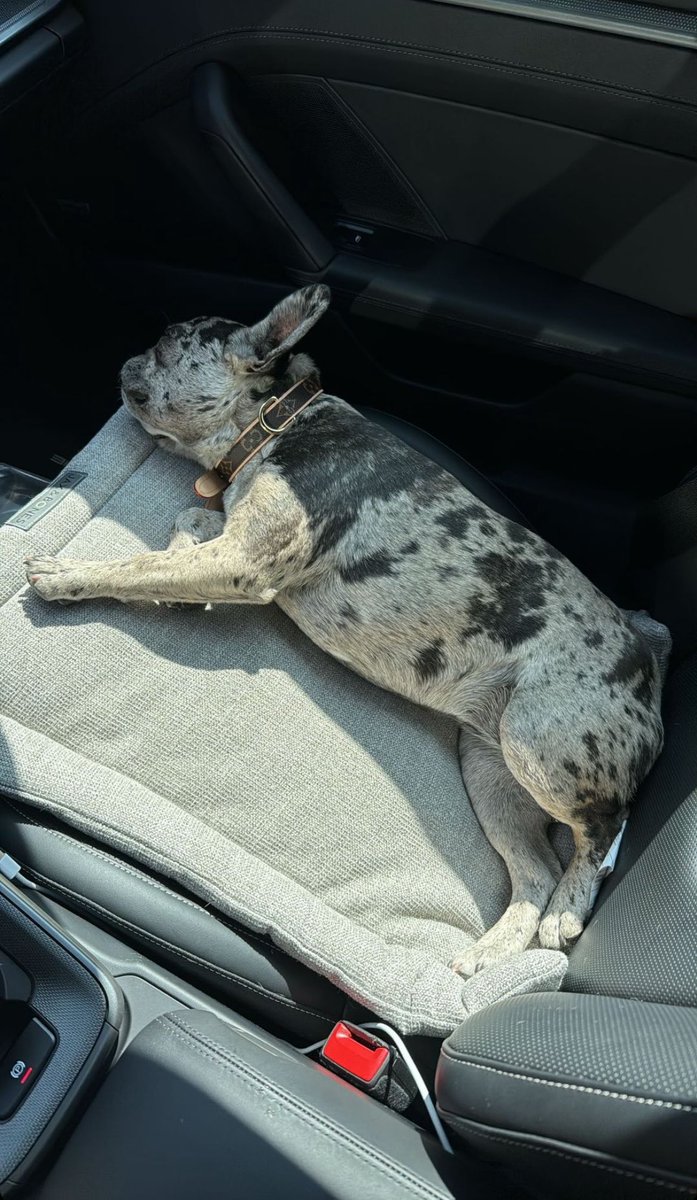 imonzonera's tweet image. esa soy yo