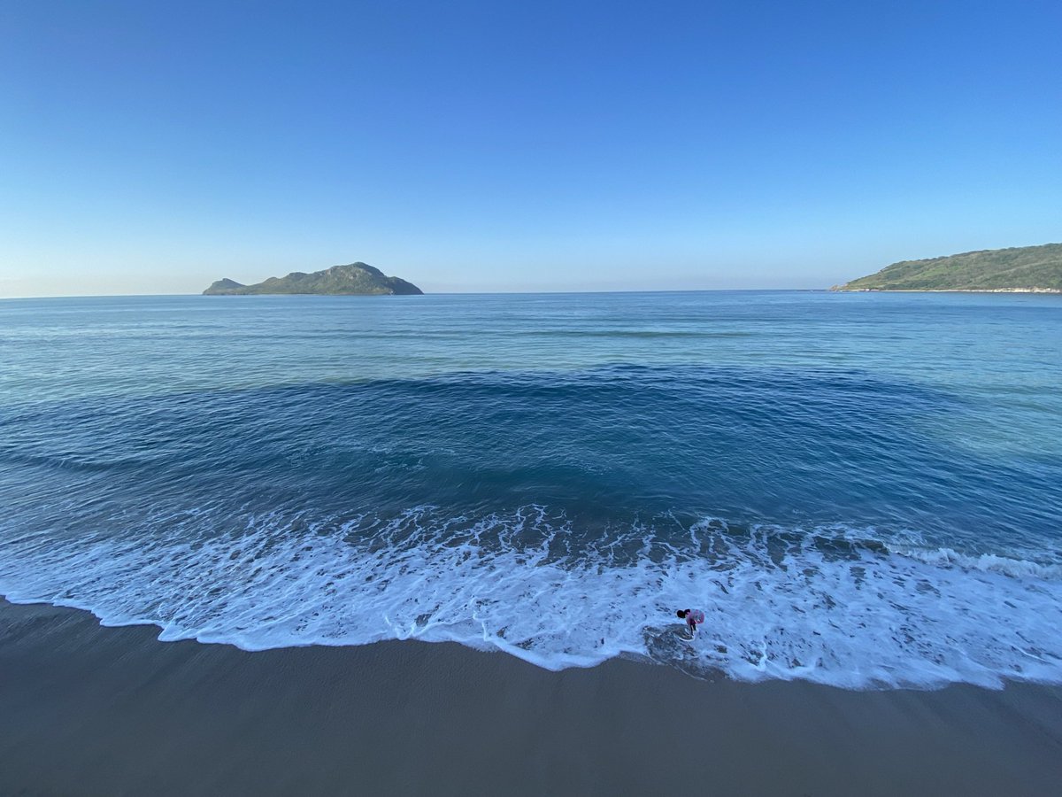 Hoy celebramos el #DiaMundialDeLosOcéanos y me siento muy orgullosa de dedicarme a proteger el océano de la mano de mis compañeras y compañeros en <a href="/OceanaMexico/">Oceana en México</a> y en todo <a href="/oceana/">Oceana</a>

#SaveTheOceansFeedTheWorld 💙