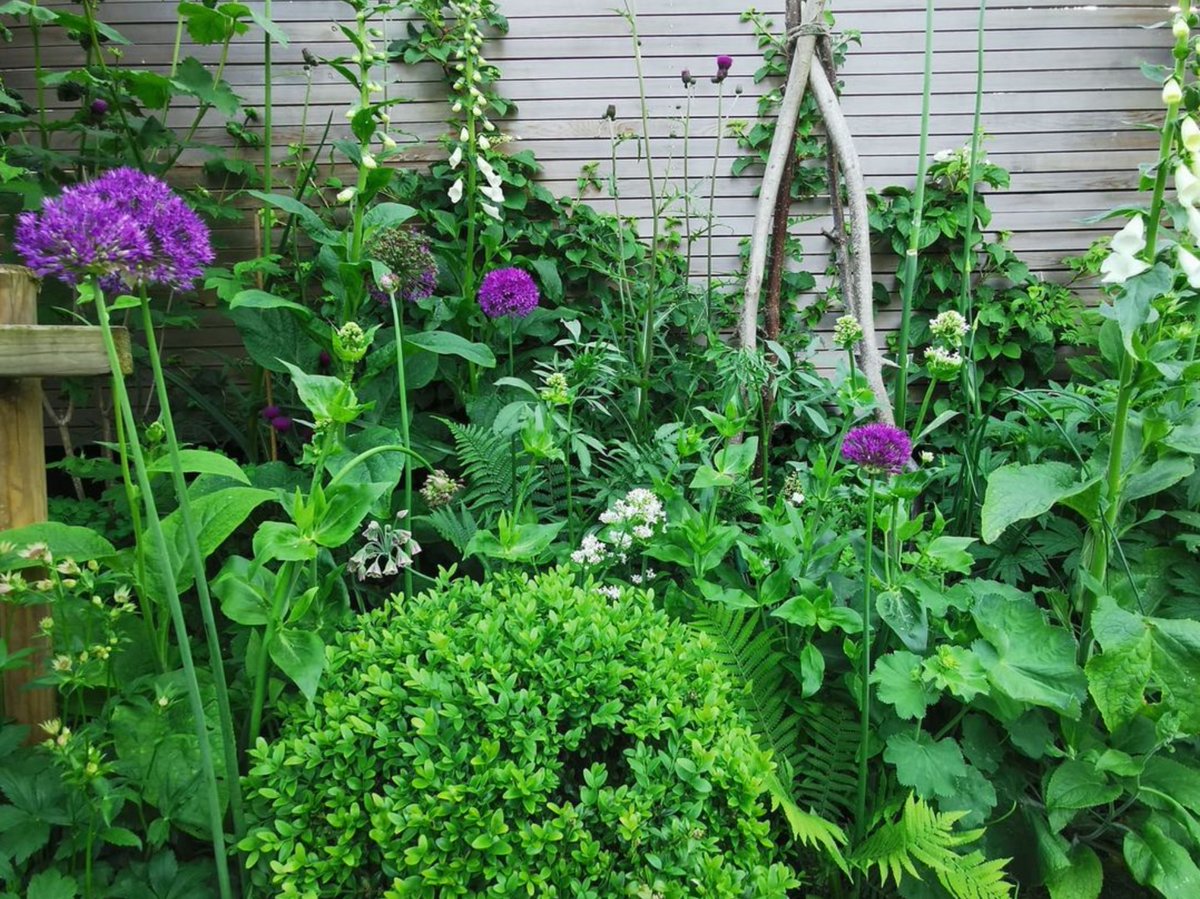 This years Secret Gardens (15/16 June) has lots of gardens opening for the first time including 3 Dampier Road (garden #4, open Sat &amp; Sun), a sunny garden with large beds, established trees and raised seating area.
bloomingbedminster.org.uk <a href="/boardwalkprop/">Boardwalk</a>