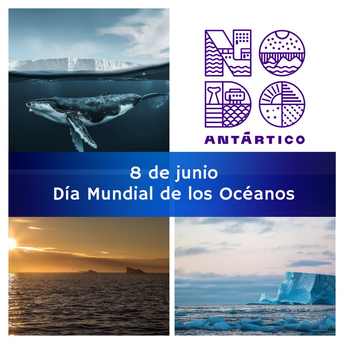 nodoantartico's tweet photo. 🌊🚨 Hoy, en el #DíaMundialdelosOcéanos hacemos un llamado para mitigar los impactos que causa el cambio climático y ayudar en la preservación de nuestros océanos para las las futuras generaciones. #SalvemosLosOcéanos #CambioClimático #AcciónPorElClima #OceanosLimpios https://t.co/gnGGp4tDzn