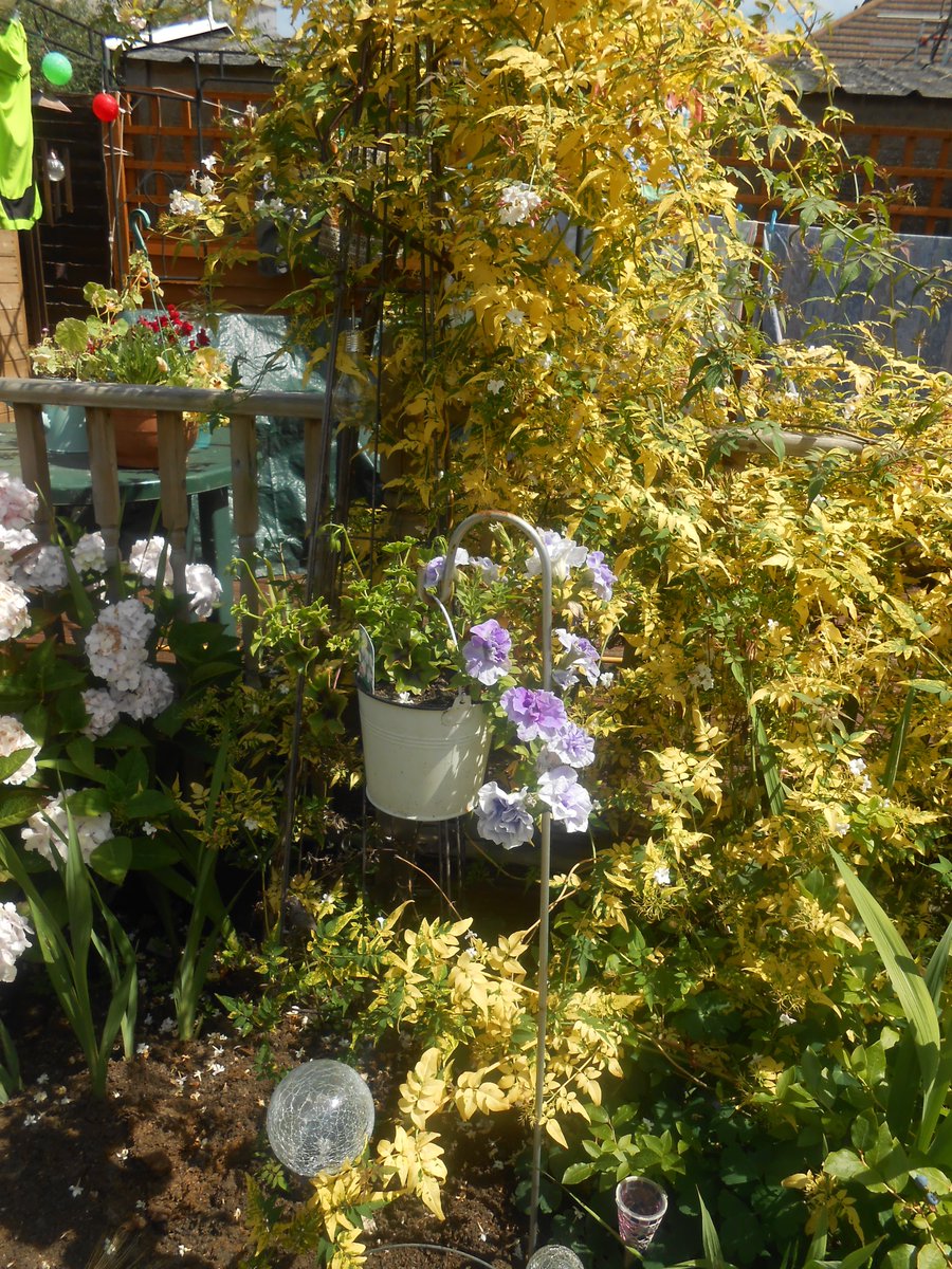 Bedminster's Secret Gardens to visit,
21 Raynes Road (garden #6 in the guide, open Sun 16 June only). Flower beds with various roses,alliums and other seasonal flowers, fruit bushes,apple tree and large acer. Summer house and pergola. bloomingbedminster.org.uk <a href="/boardwalkprop/">Boardwalk</a>