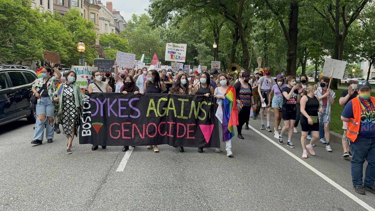 At Boston Dyke March, the anti-genocide protesters *WERE* the march. 

I guess that's the difference between corporate and anti-corporate Pride.