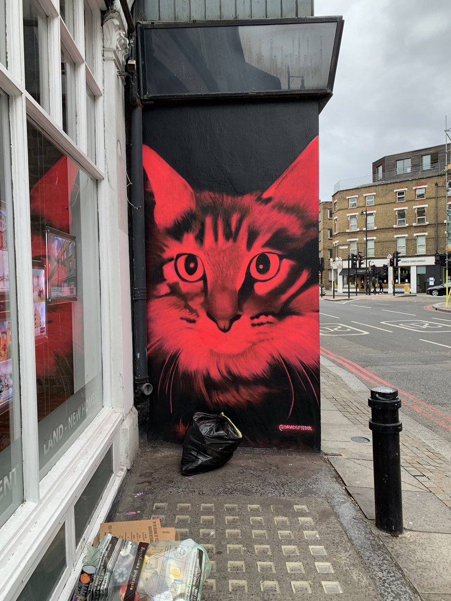 🅄🄼🄴 tweet media