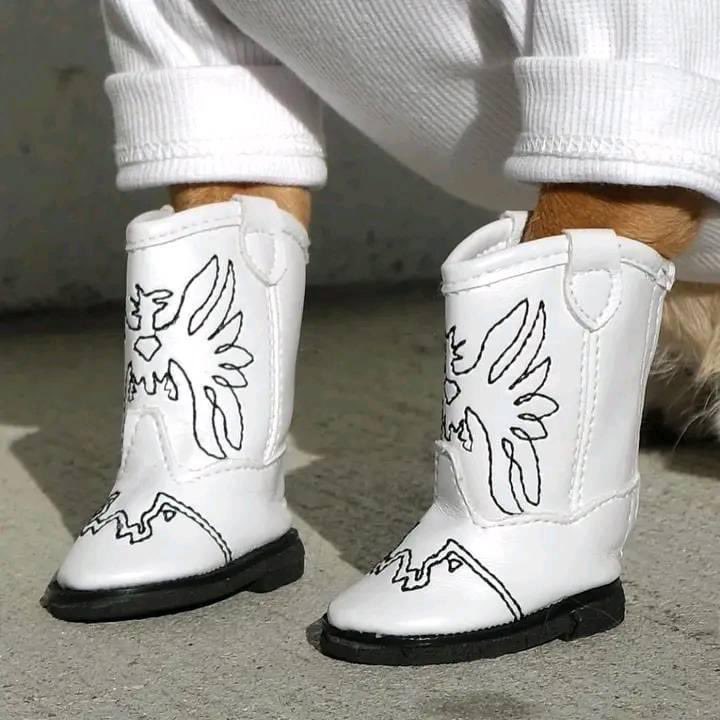 💖 (@twaniimals) on Twitter photo 