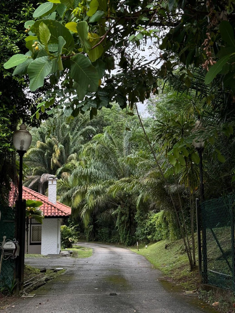 luaar22's tweet image. “Nature is the source of all true knowledge.”