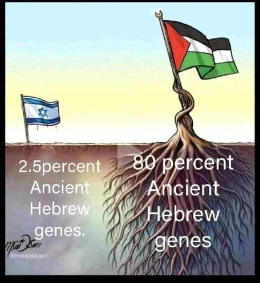 Sulaiman Ahmed (@shaykhsulaiman) on Twitter photo 