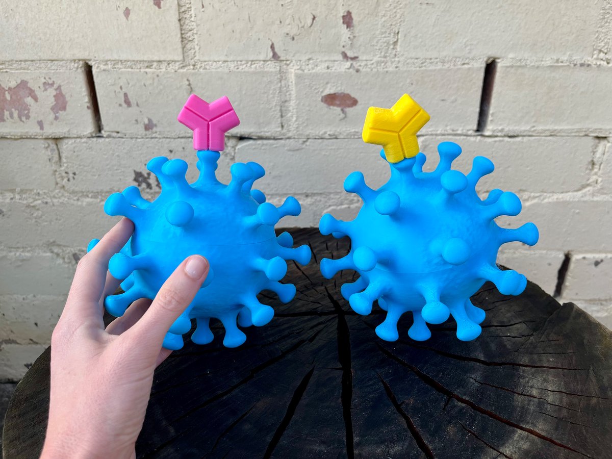 Can you #3Dprint me a model of a virus?  With a detachable antibody, for #immunology and #epidemiology #STEMM champions school demonstrations? Can do!