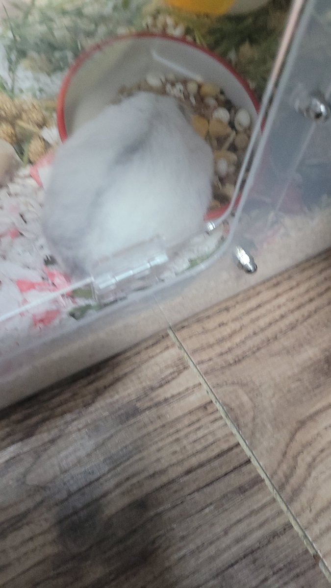 근황 가ㆍㅣ바쁨