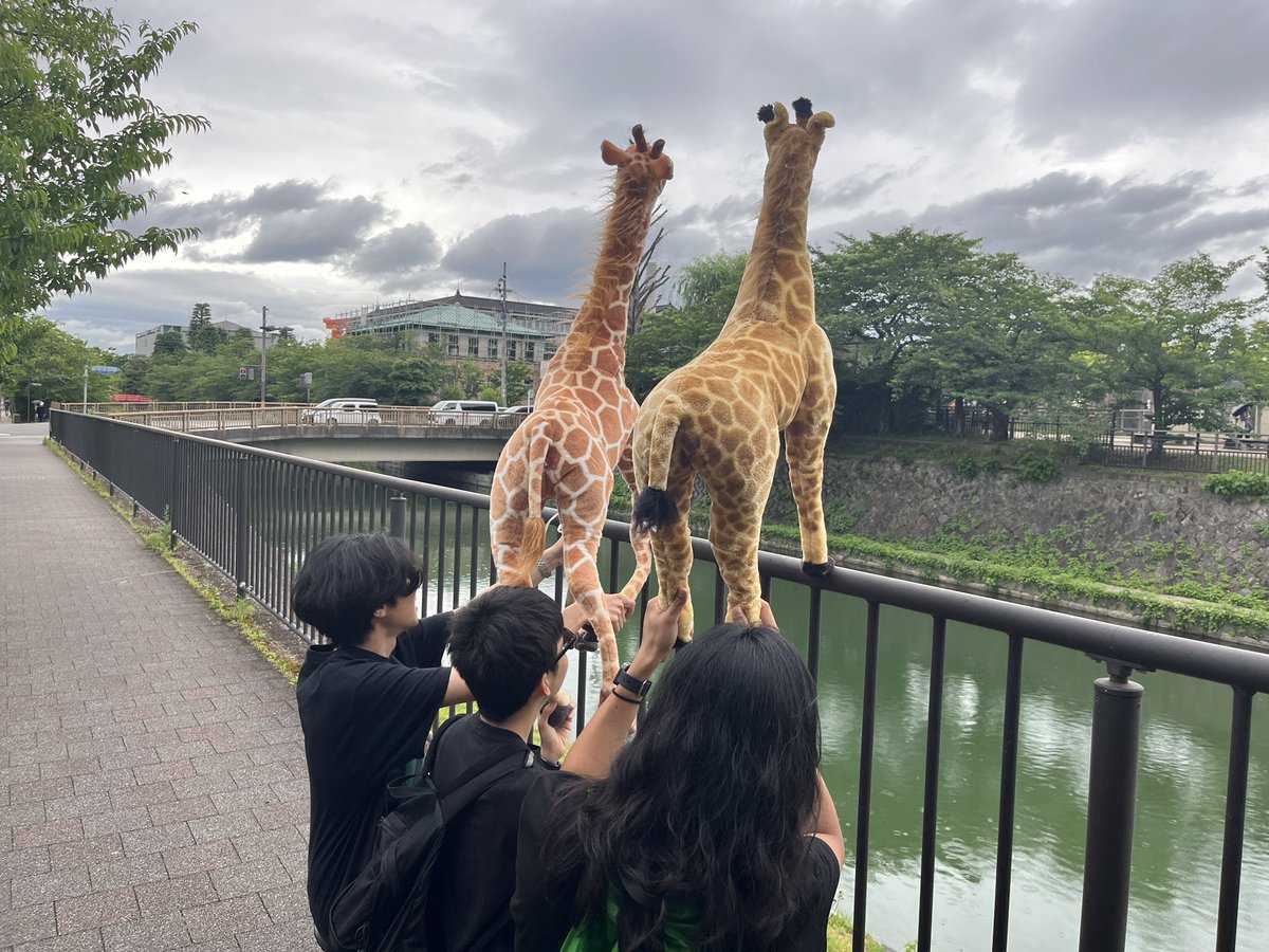 doshisha_bbb's tweet photo. https://t.co/xB511uPm0O