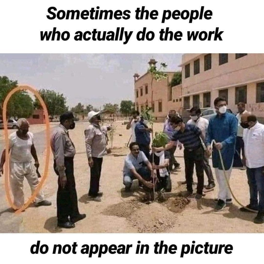 Mindful Maven tweet media