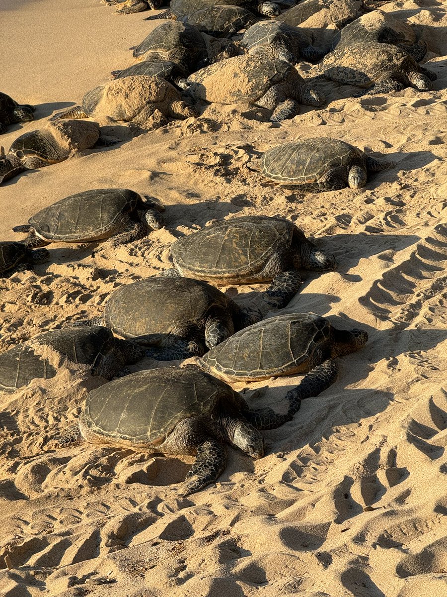 Matt Hixson tweet media