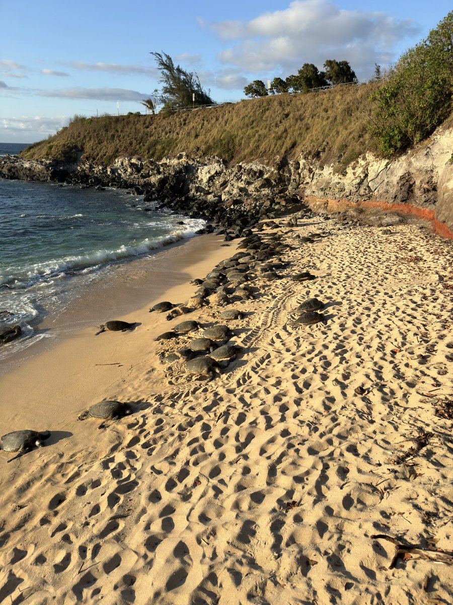 Matt Hixson tweet media