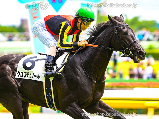東京5Rは #クロワデュノール が同じ勝負服どうしの追い比べ制して