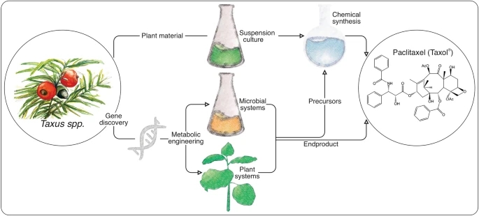 aBIOTECH tweet media