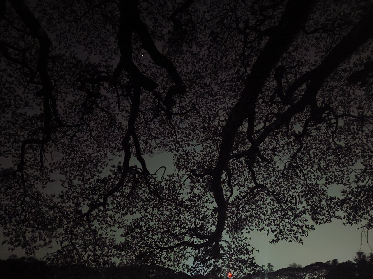 anifanks's tweet photo. Some photos from my gallery
@nothing phone 1 gets some good shots
Waiting  @zerocam_app for android to showcase my point and shoot skills 😜
#nothing #photography #nightlight https://t.co/L4ZCjppWSg