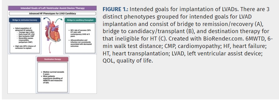 TransplantJrnl's tweet photo. The latest developments in left ventricular assist devices (LVADs) for patients with advanced heart failure are discussed in this excellent review. #hearttransplantation #TransplantTwitter# https://t.co/91RGln5oqV https://t.co/zbfDQGhYel