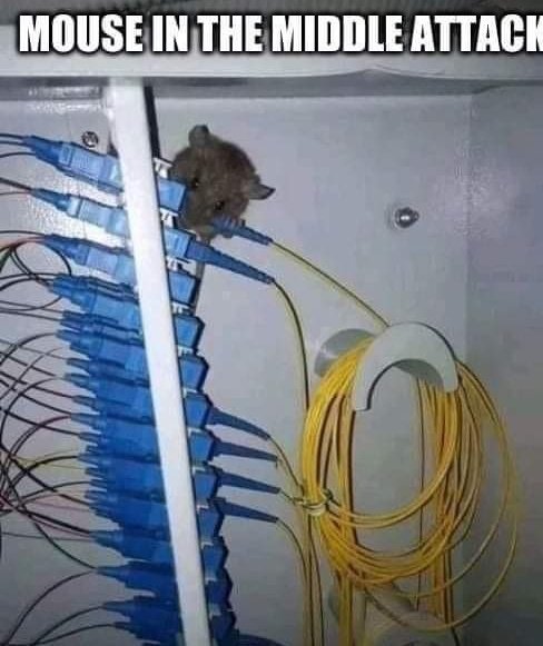 ᴉpᴉǝH 🐐💕 tweet media