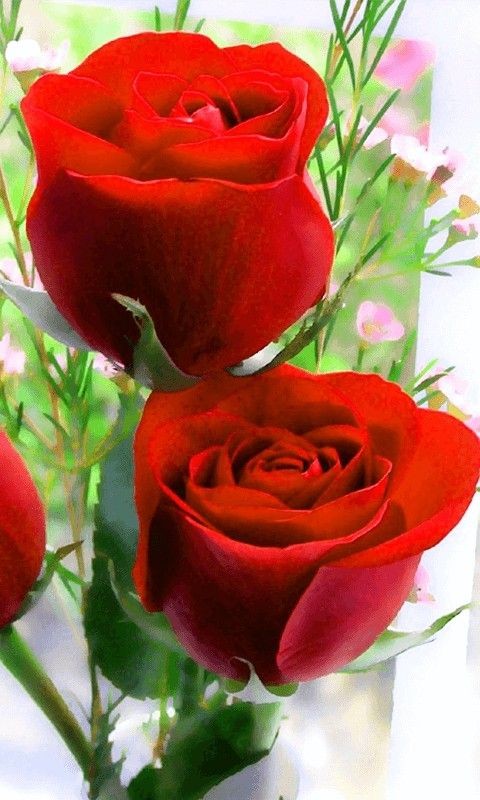 <a href="/vlg_v/">Velaska</a> Bon week-end chère Velaska,je veux bien me réveiller ce bon  matin,venir chez toi pour te saluer de vive voix,admirer ton ÊTRE,te voir face à face et comprendre ce qu'il en ait de toi,mais la distance fait défaut. Mais c'est encore possible. Phénoménale Velaska sois bénis.