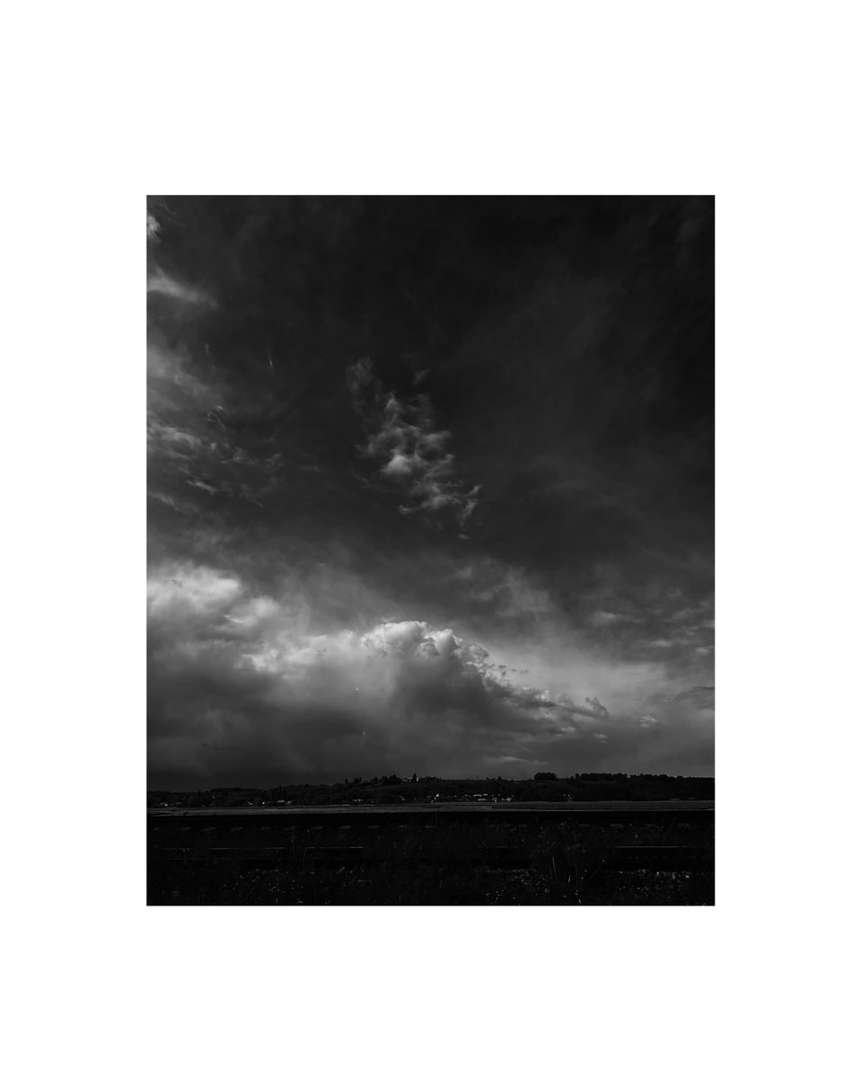 zrelova.s tweet media