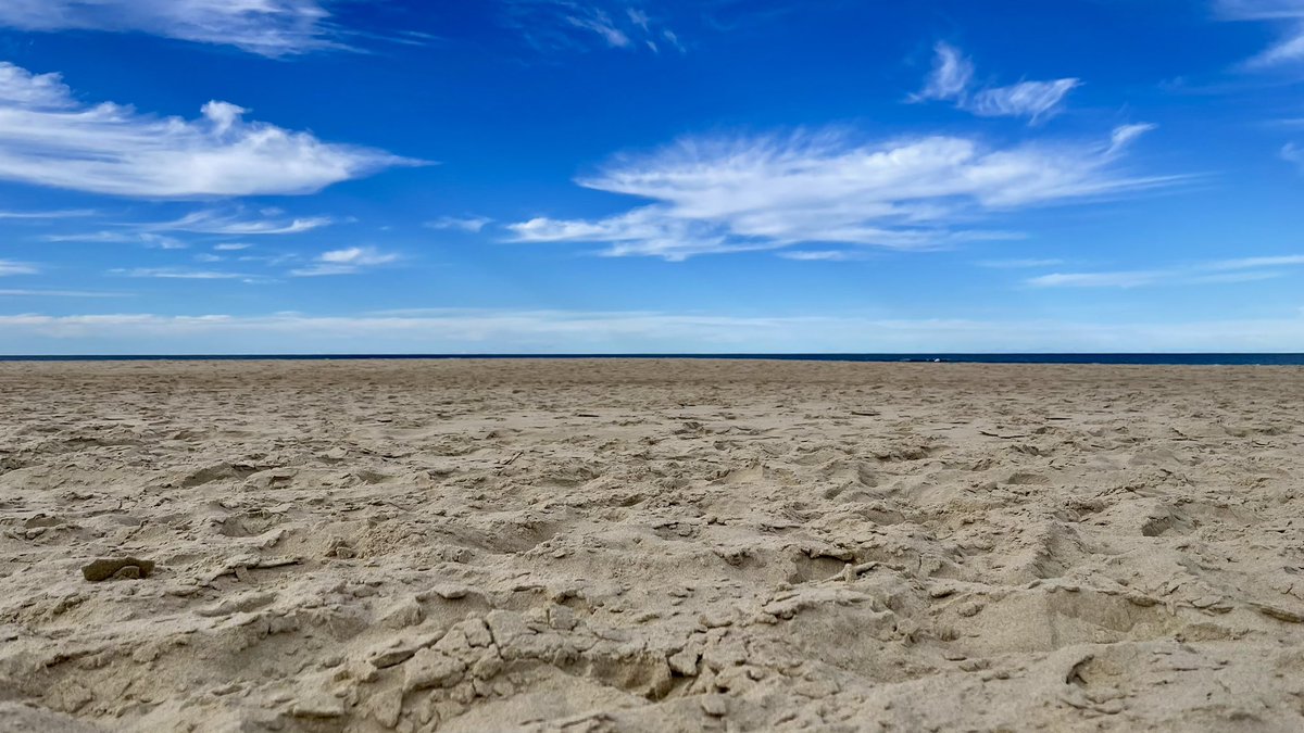 Carl Hendy tweet media