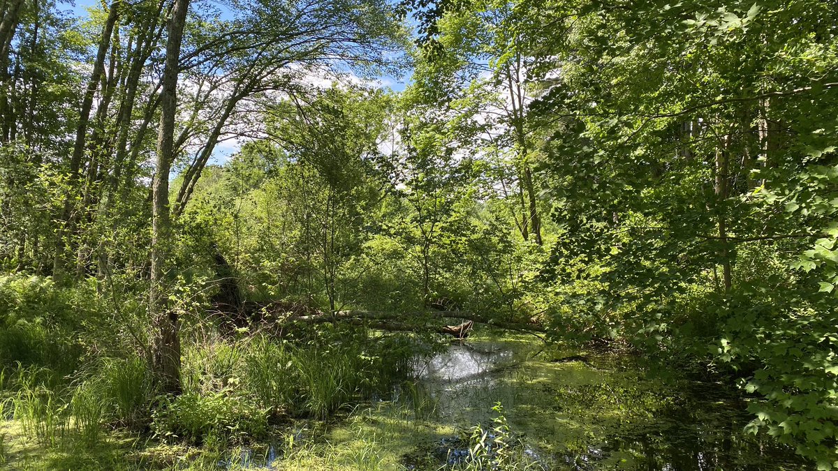 Dr. Laura Smith tweet media