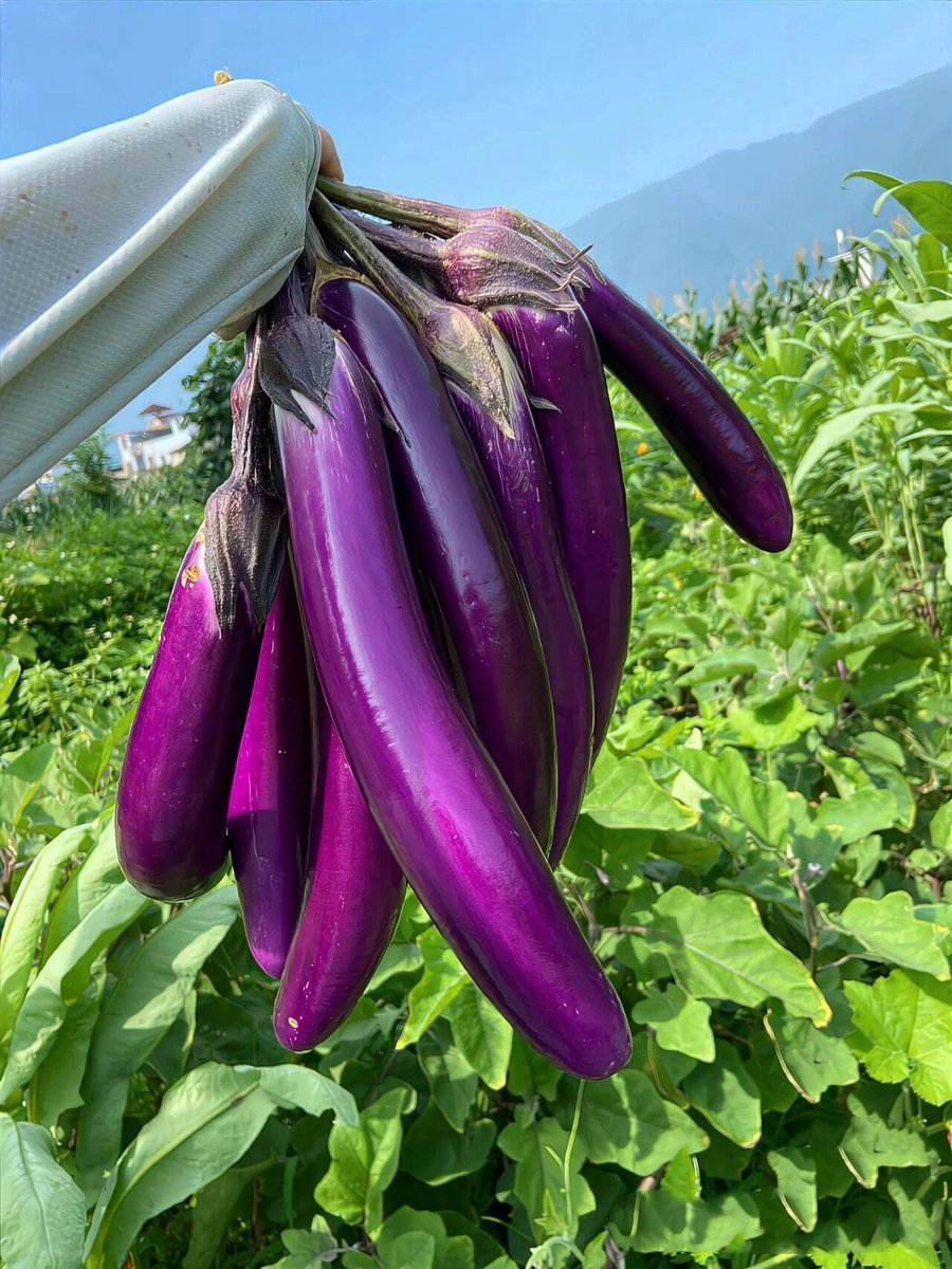 ruby97597's tweet image. 季節を問わず、空から見るものは本当に美しく、まるで絵画の中にいるような気分になります。